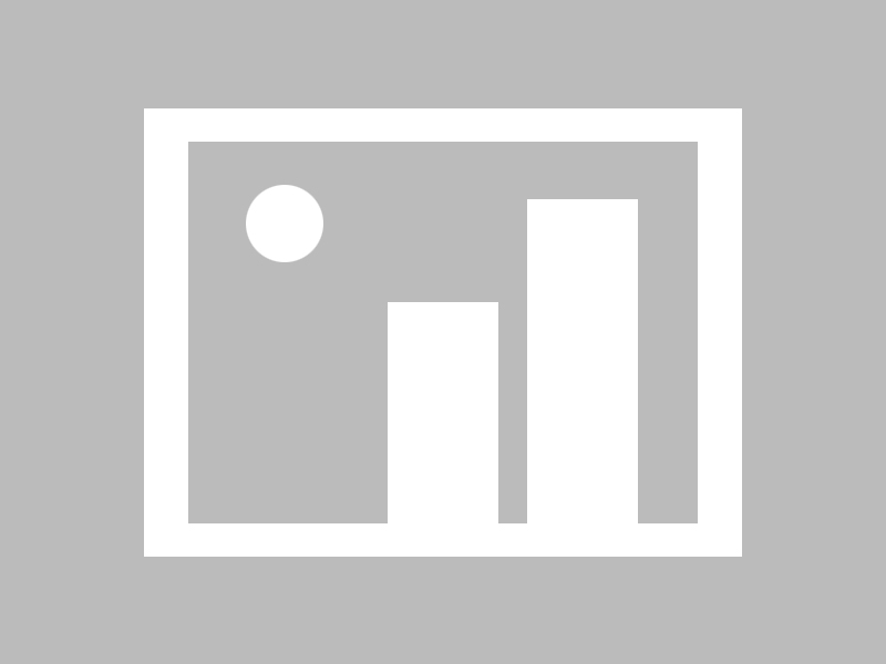 开云体育APP下载-篮网调整策略主场止败，篮网问题