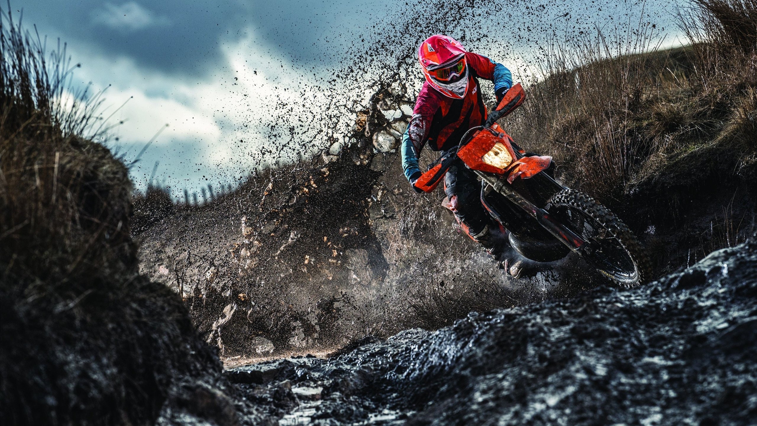 _猛龙奋起直追,逐渐逼近强敌_,猛龙追击