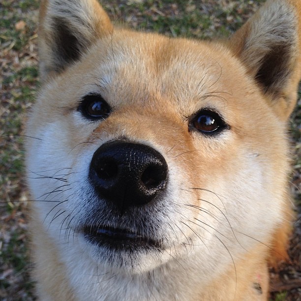 KAIYUNAPP-《电竞行业资本热潮：投资人纷纷布局未来》，电竞 资本