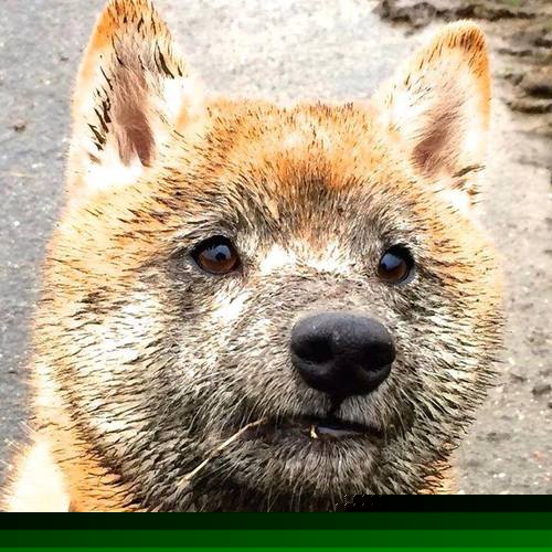 开云官方网站-从失败中崛起：他们是如何逆转局势的？，从失败中站起来