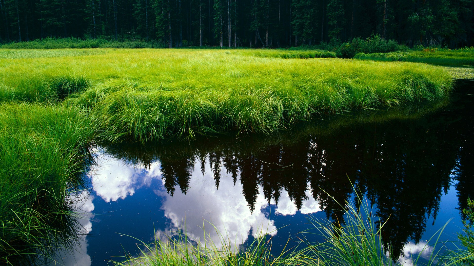 国王发布“城市之光”主题球衣,致敬萨克拉门托夜景,城市之光进行曲萨克斯