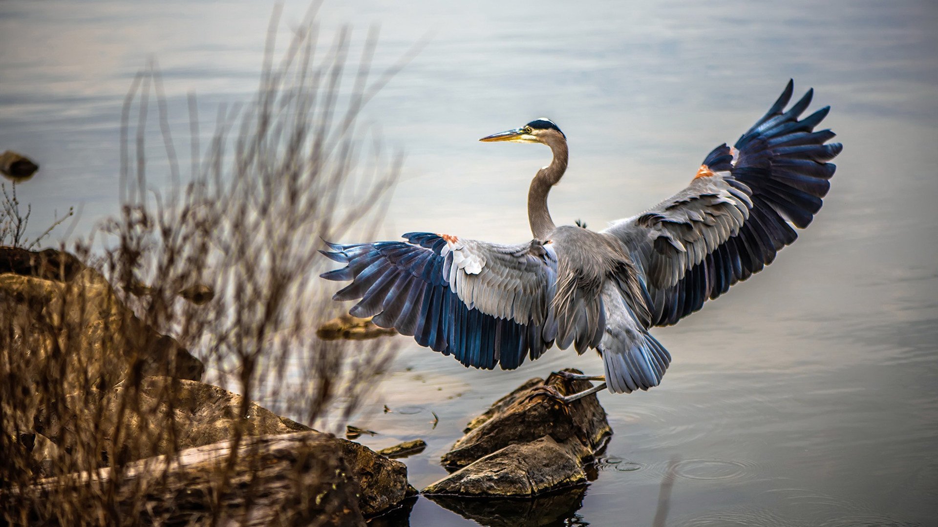 科技赋能——VR虚拟赛车体验火爆全场,vr赛车类游戏