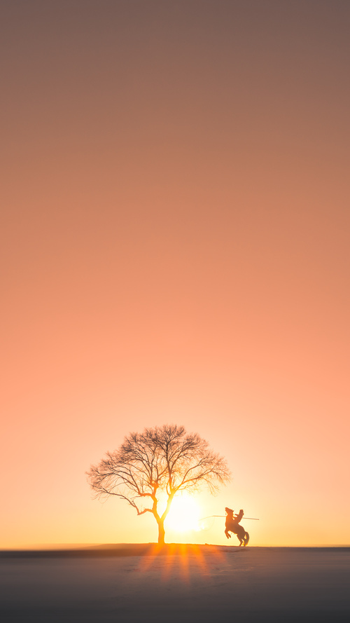 篮球明星效应推动赛事观众增长，明星篮球明星