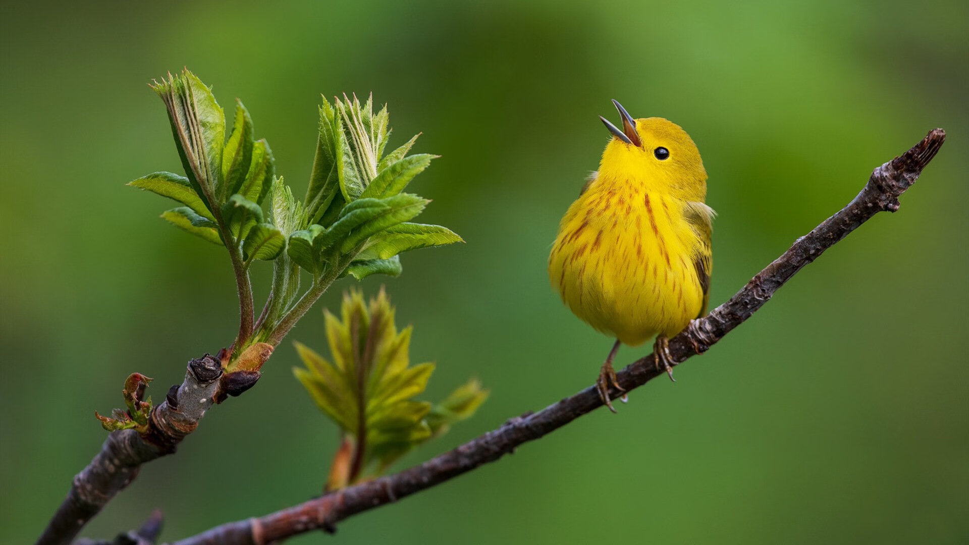 kaiyun中国官方网站-厄瓜多尔队开启世界杯预选赛征程，士气高涨，厄瓜多尔参加过几次世界杯