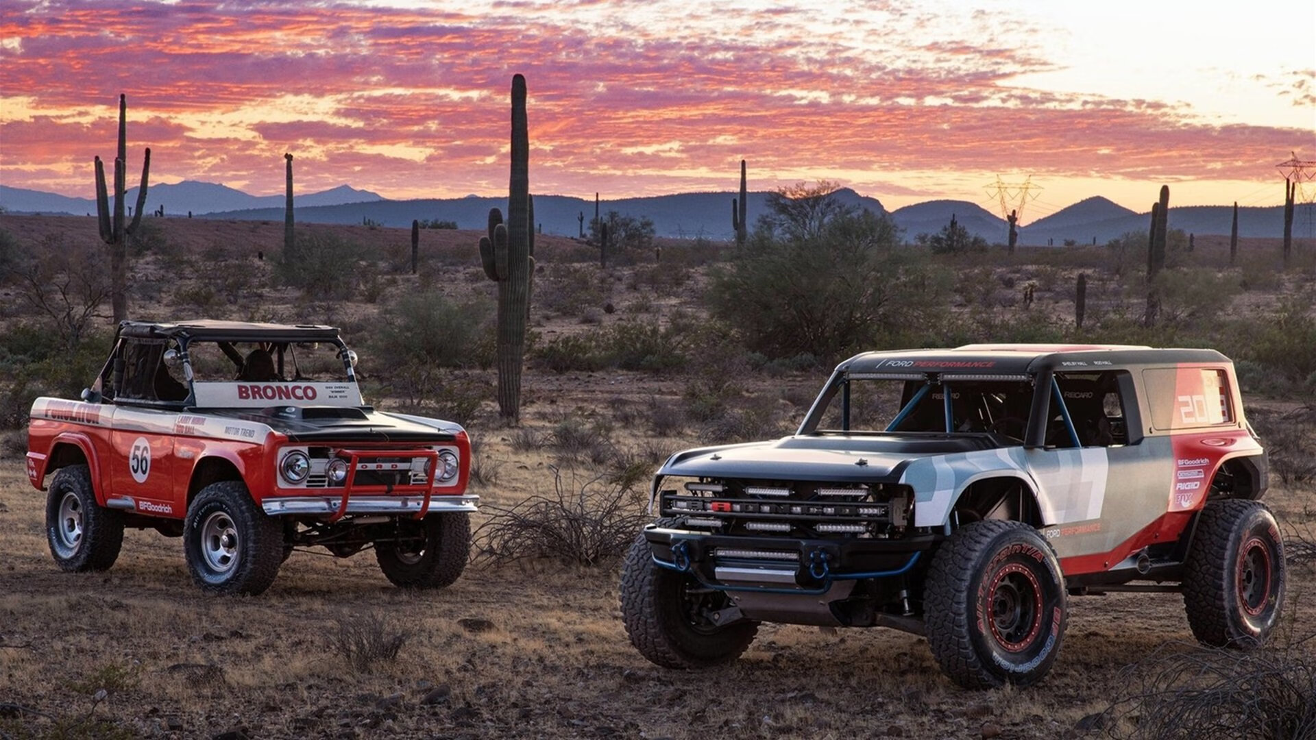 塞尔维亚篮球运动员健康状况改善,塞尔维亚职业篮球运动员