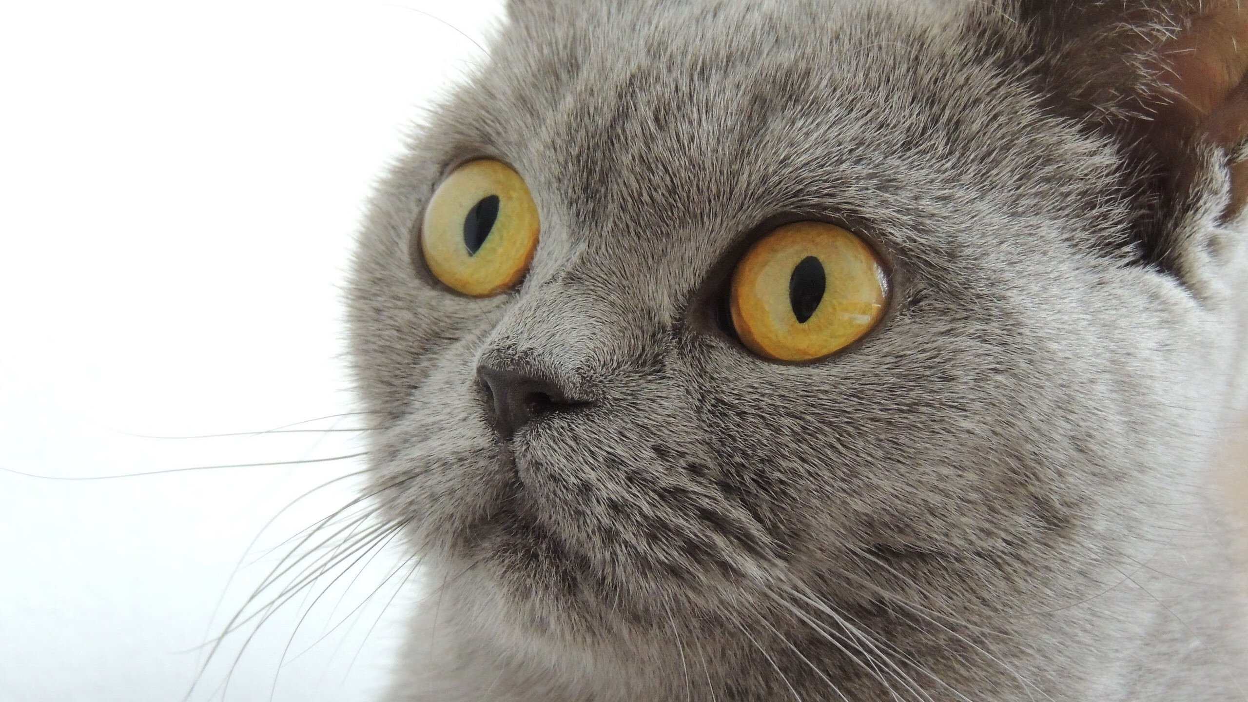 热火强势收尾巴特勒带队胜利,热火官宣续约巴特勒