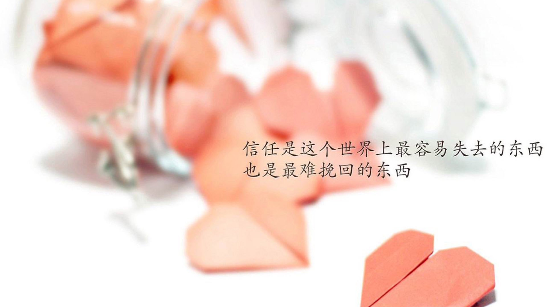 王牌队新赛季目标锁定总冠军,王牌队队徽