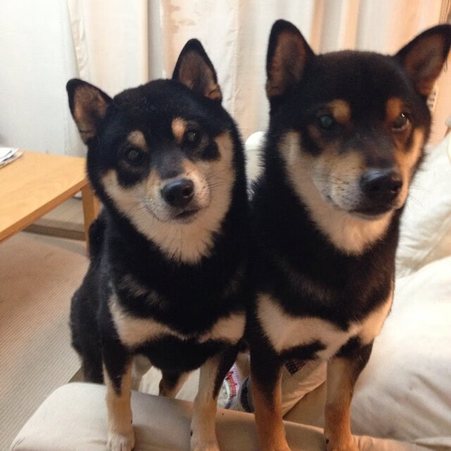 kaiyun体育综合-瓜达拉哈拉球员表现获赞，市场价值提升，瓜达拉哈拉集团