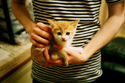 纪录被刷新!欧洲预选赛中出现了惊人的进球数,欧洲预选赛球队