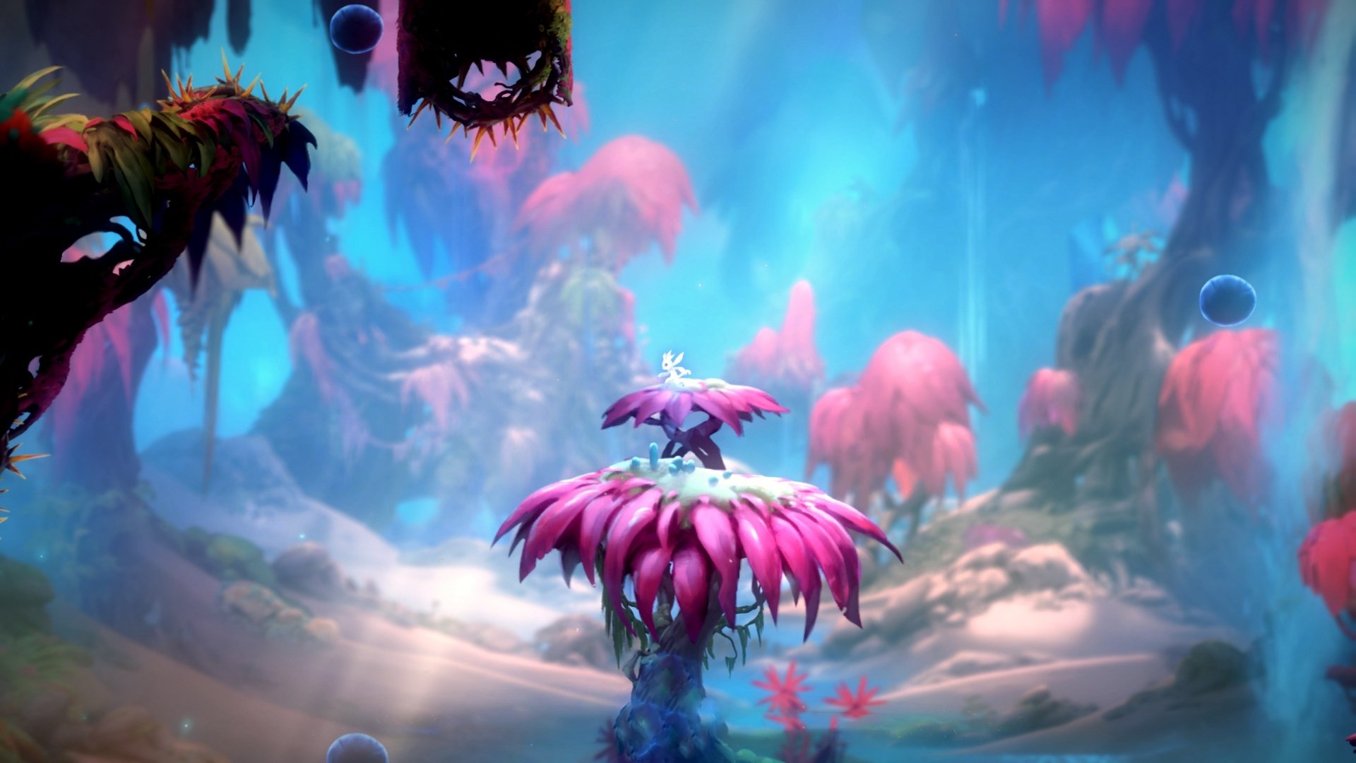 美因茨客场1-1战平弗赖堡,积分榜上升,美因茨对弗赖堡比分