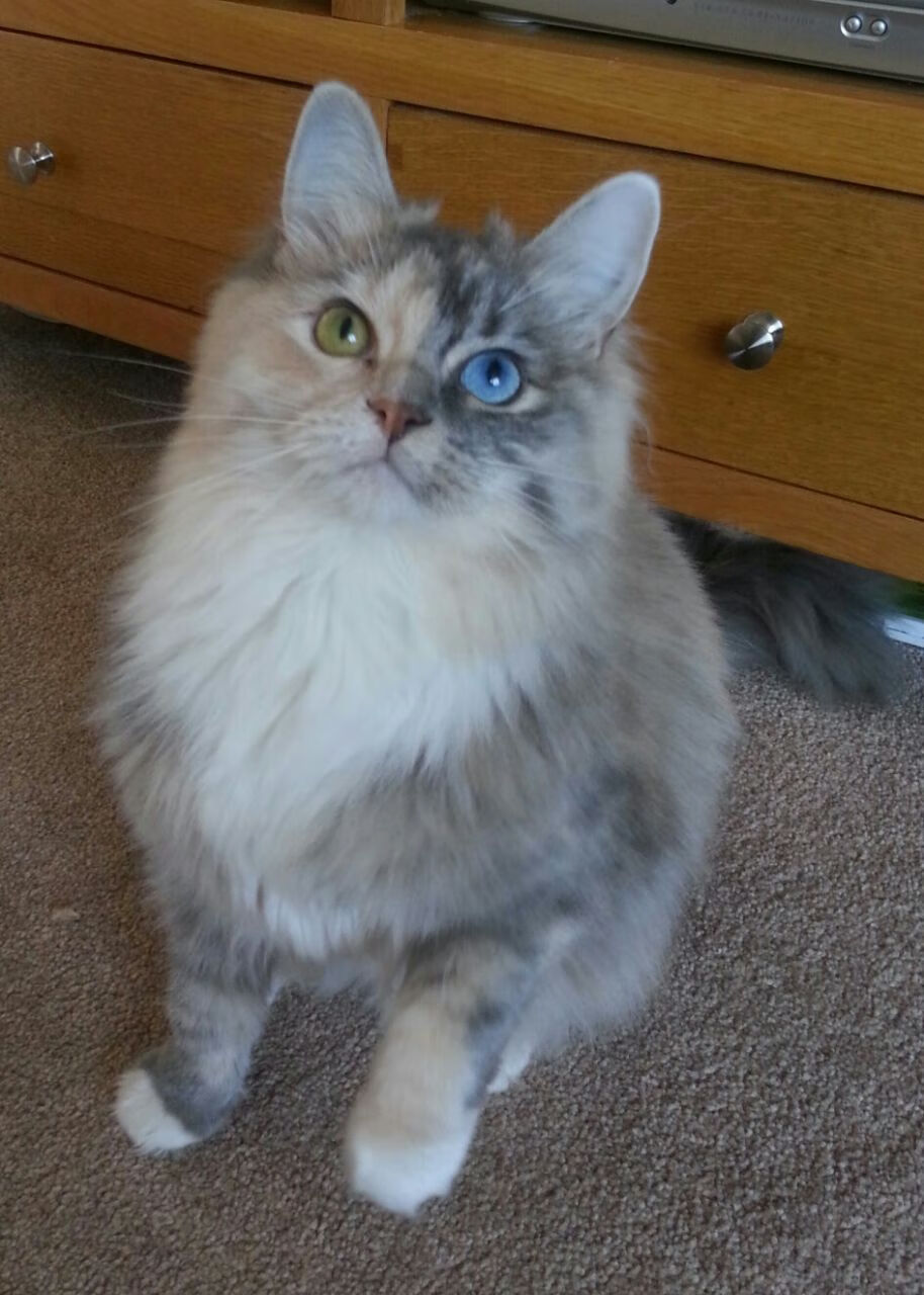 kaiyun官方网站-足球运动普及是否受观念影响，谈谈足球运动