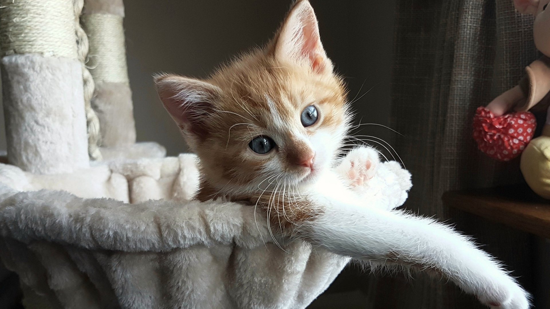 NBA球员体能测试标准,nba球员体能测试标准表