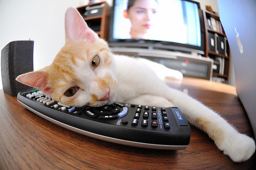 kaiyun.com-中国男篮保持专注力 精准执行赛前部署，聊聊中国男篮