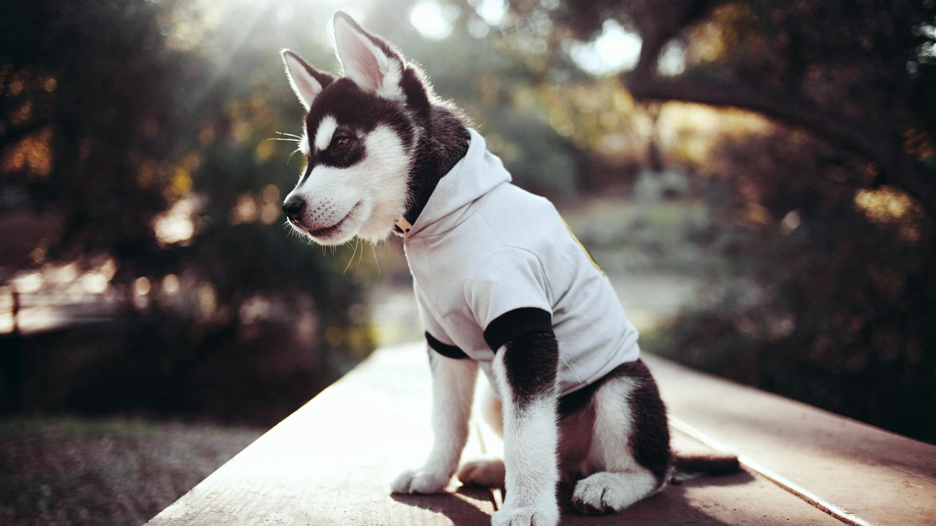 开云·体育官网-冬奥集训营引进先进训练设备，2022冬奥会国家集训队