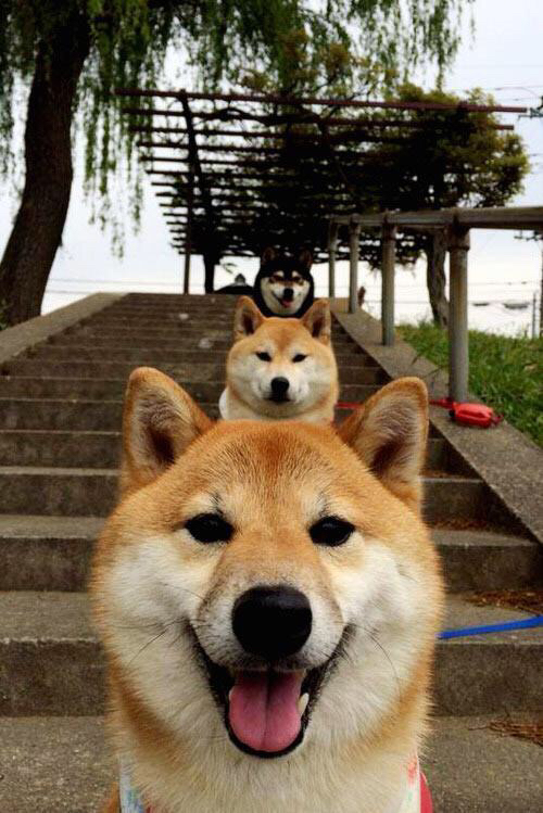 球员节奏控制训练是否应纳入常规战术系统,节奏训练是什么意思