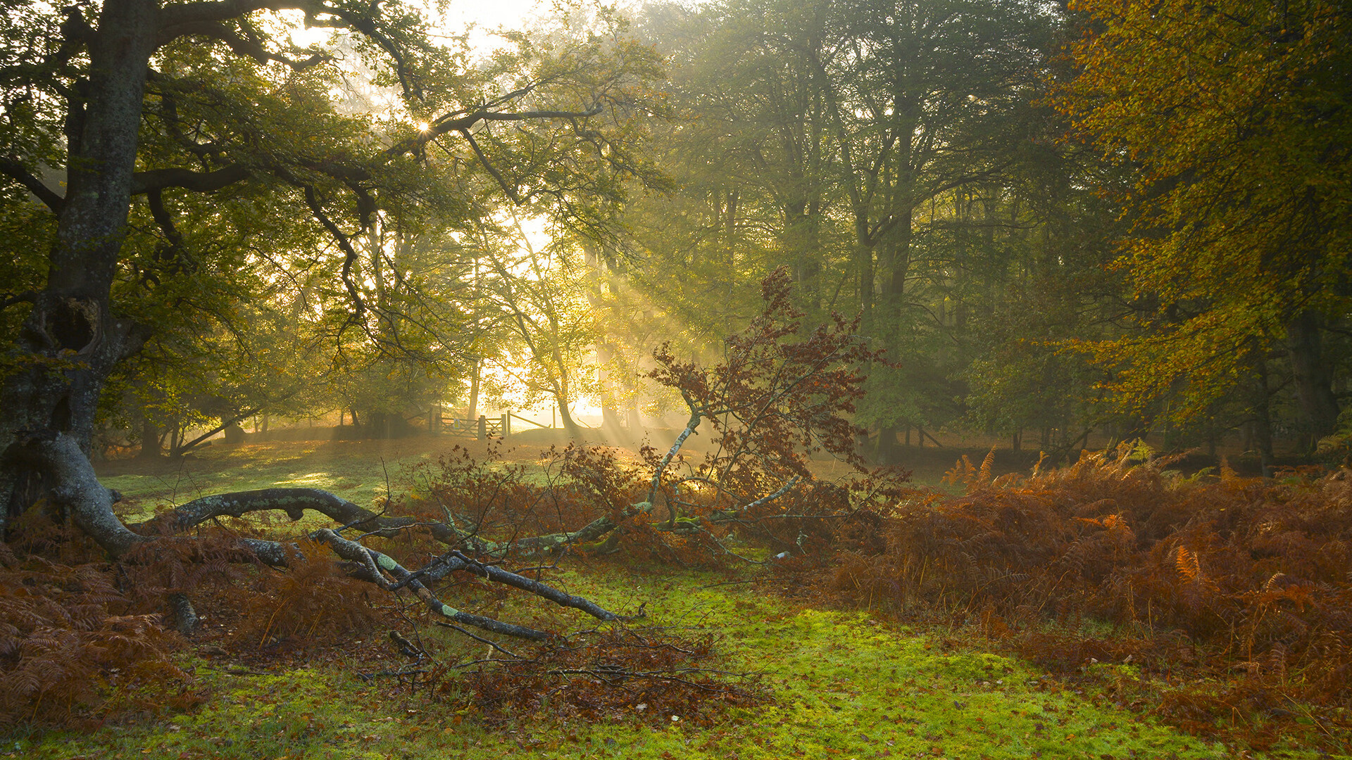 Kaiyun官方登录入口-CBA联赛推动球队间战术交流促进联赛水平提升，cba战略