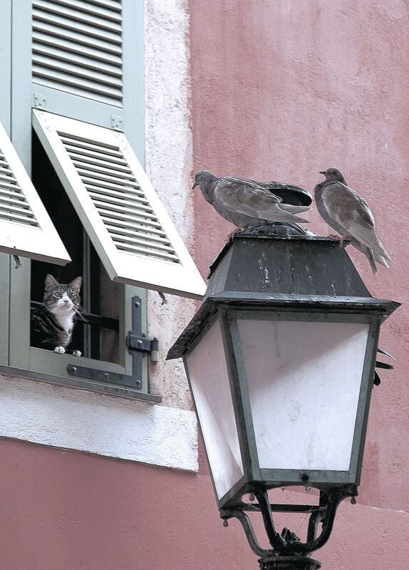 李娜创造历史网球公开赛,李娜网球公开赛冠军