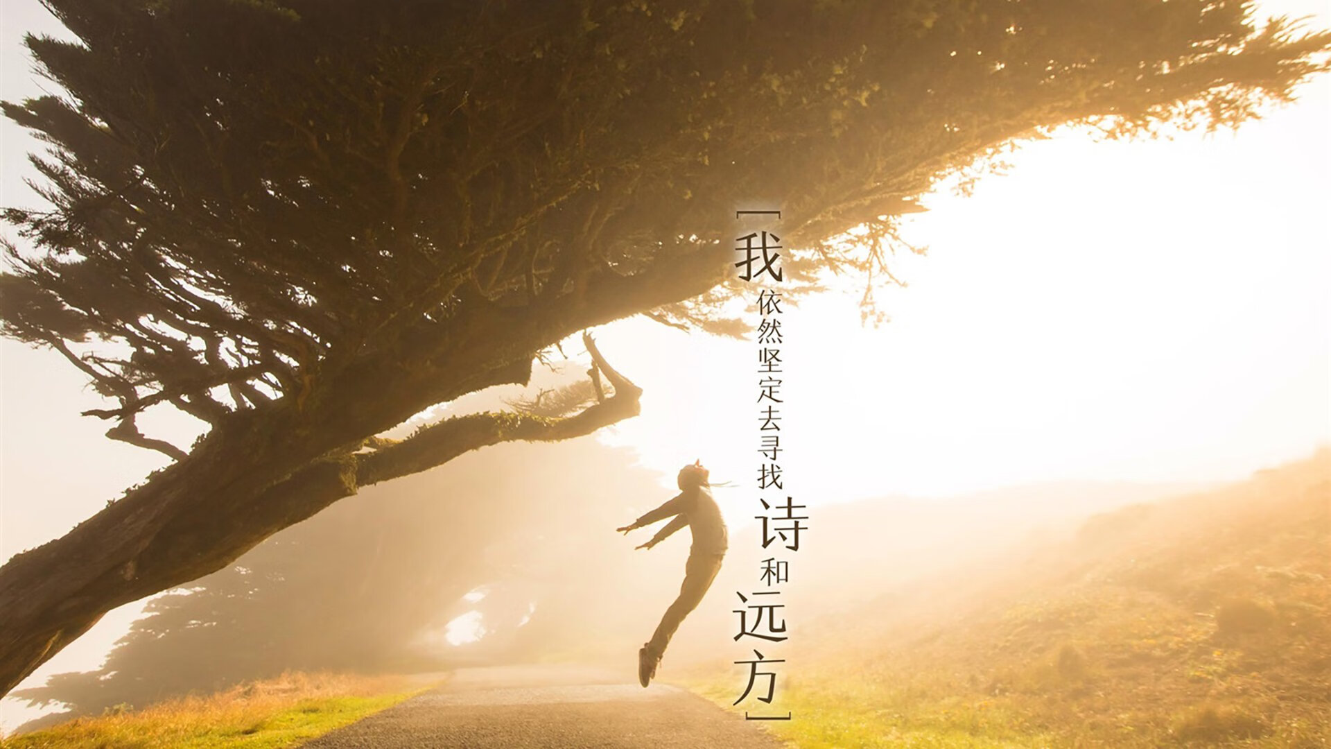 kaiyun体育综合-篮球联赛MVP候选人评估，nba mvp评选规则