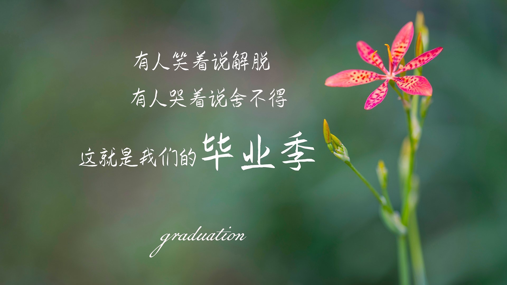 菲律宾男篮在东南亚锦标赛中夺冠,体育运动再升温,菲律宾男子篮球队