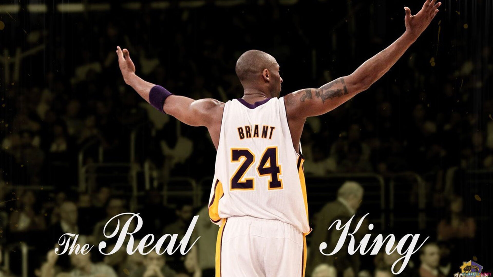 全国击剑新人赛小将横空出世